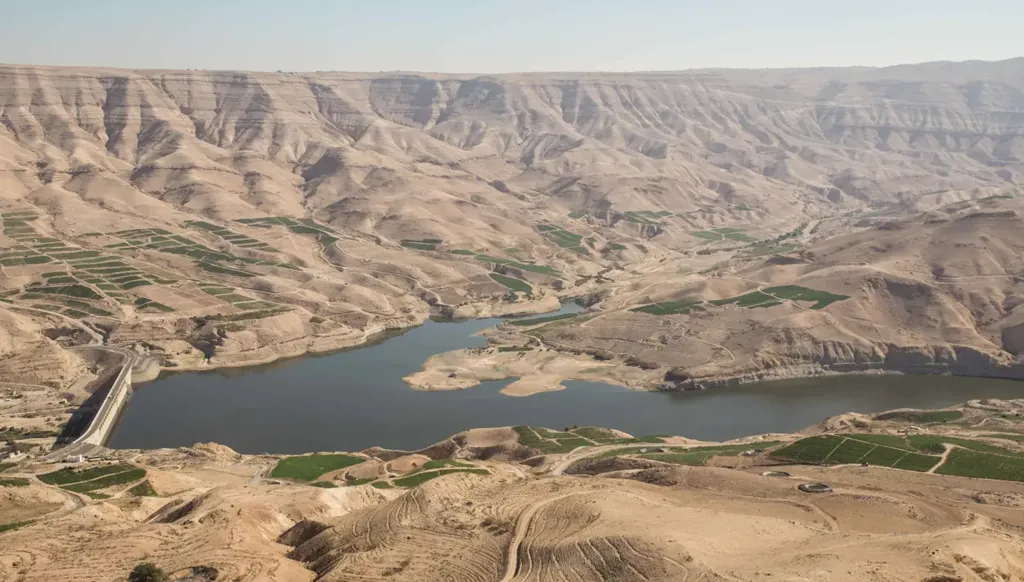 الجفاف يختبر الزراعة الأردنية... من الحقول البعلية إلى أزمة زيت الزيتون