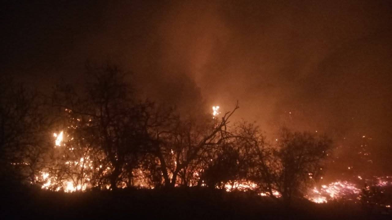 مشهد من الحرائق (أرشيفية)