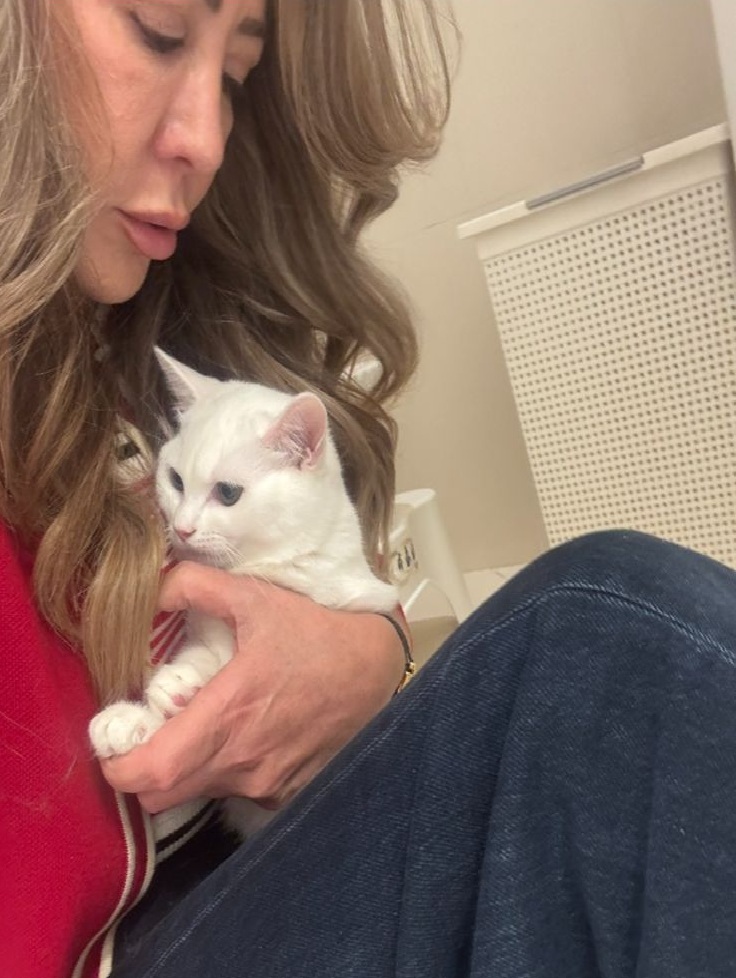 أريج الدعستاني تهتم بإحدى قططها (النهار)