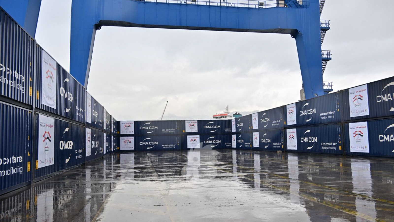 مساعدات مصرية (حسام شبارو).