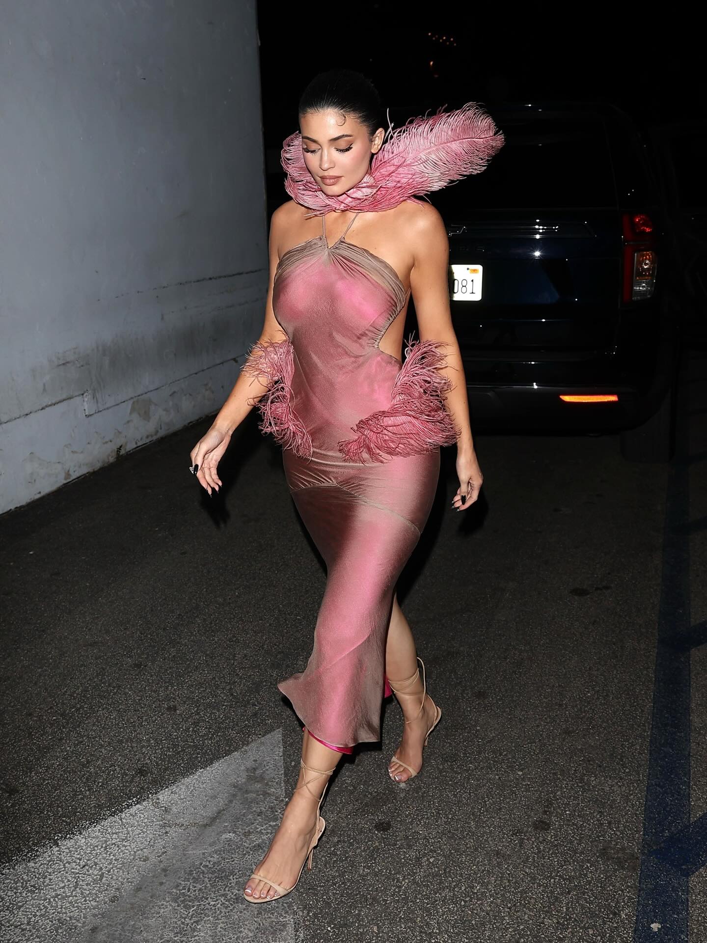 كايلي بفستان وردي باهر بتفصيل الريش (إنستغرام)