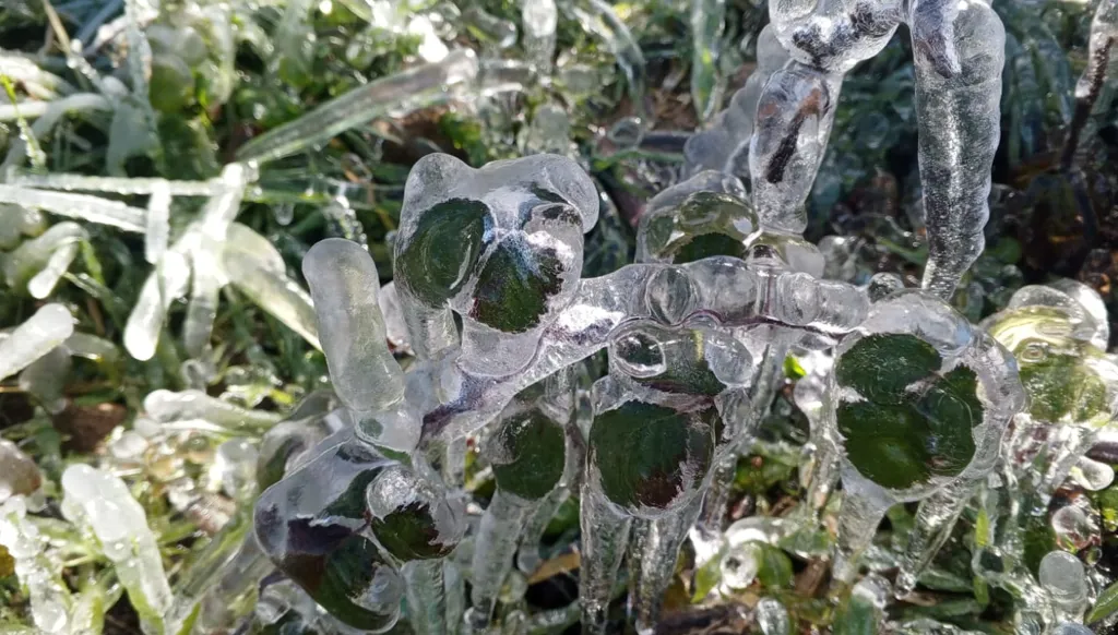 طقس مستقرّ في لبنان حتى يوم الجمعة... وتحذير من الجليد!