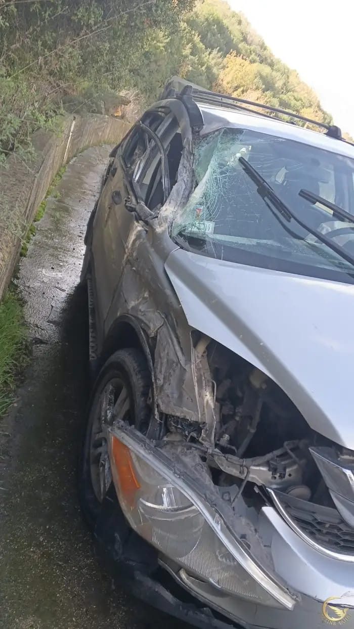 صورة من حادث السير (متداول).