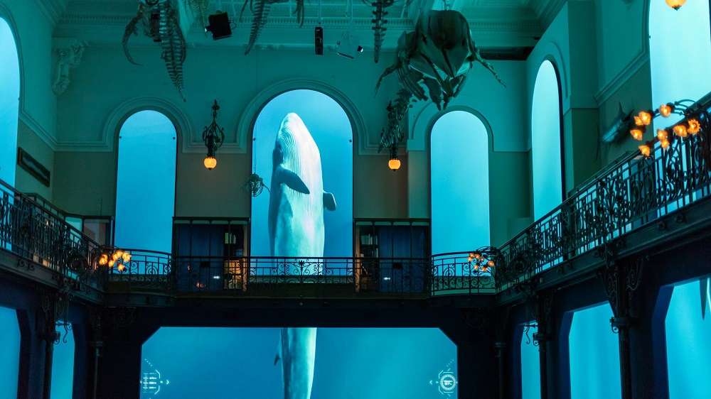 الفرصة الأخيرة لحماية متوسطنا.