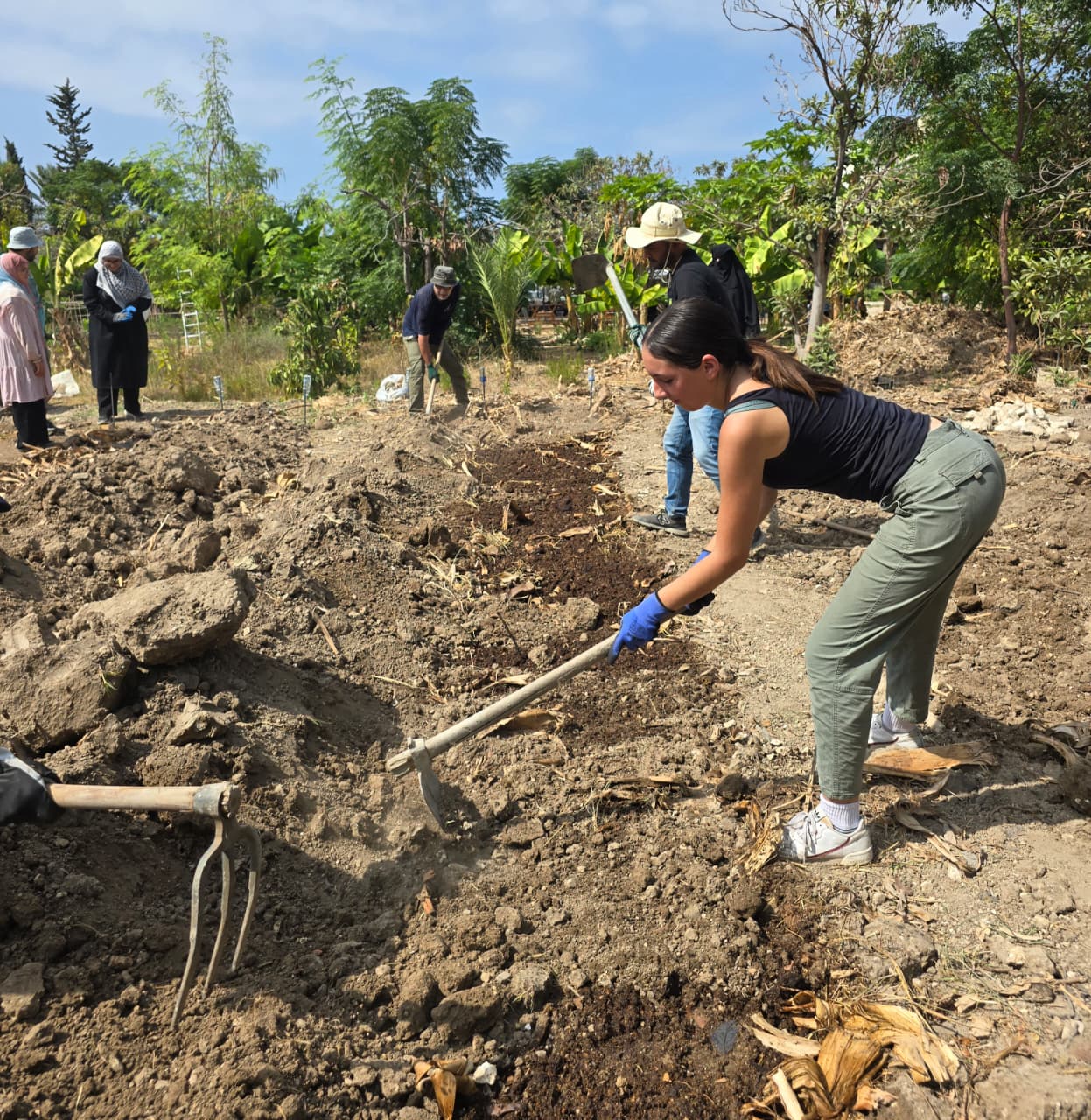 مشاركة أخرى تحرث التربة بمعول. (أحمد منتش)
