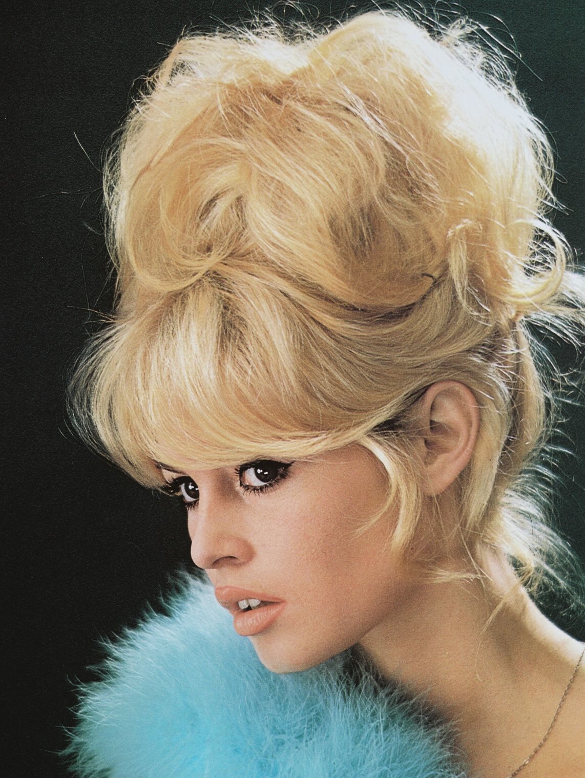 بريجيت باردو مثال الجمال الأيقوني ( أرشيف صورها من إنستغرام)