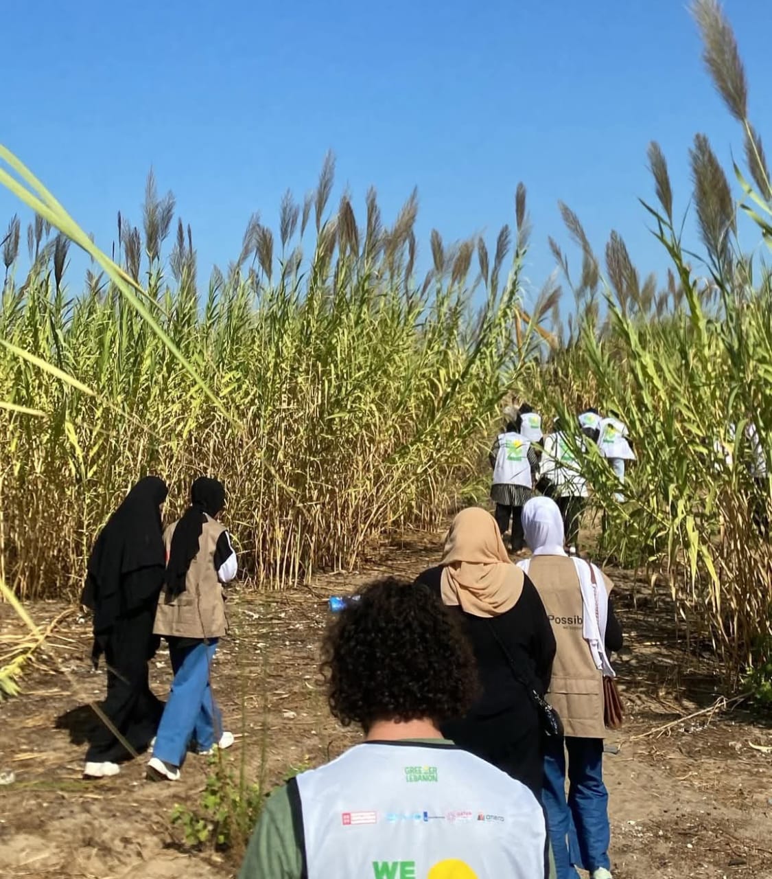 فتيات يسهمن في تنظيف الشاطئ في العبدة (النهار)