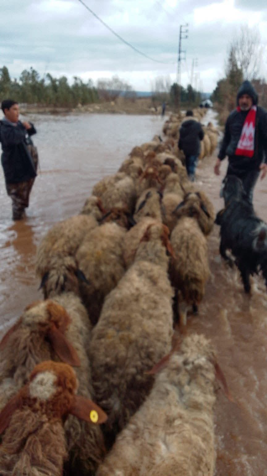 61e71fe19b484d62a22a02f6a87e9482_194434.