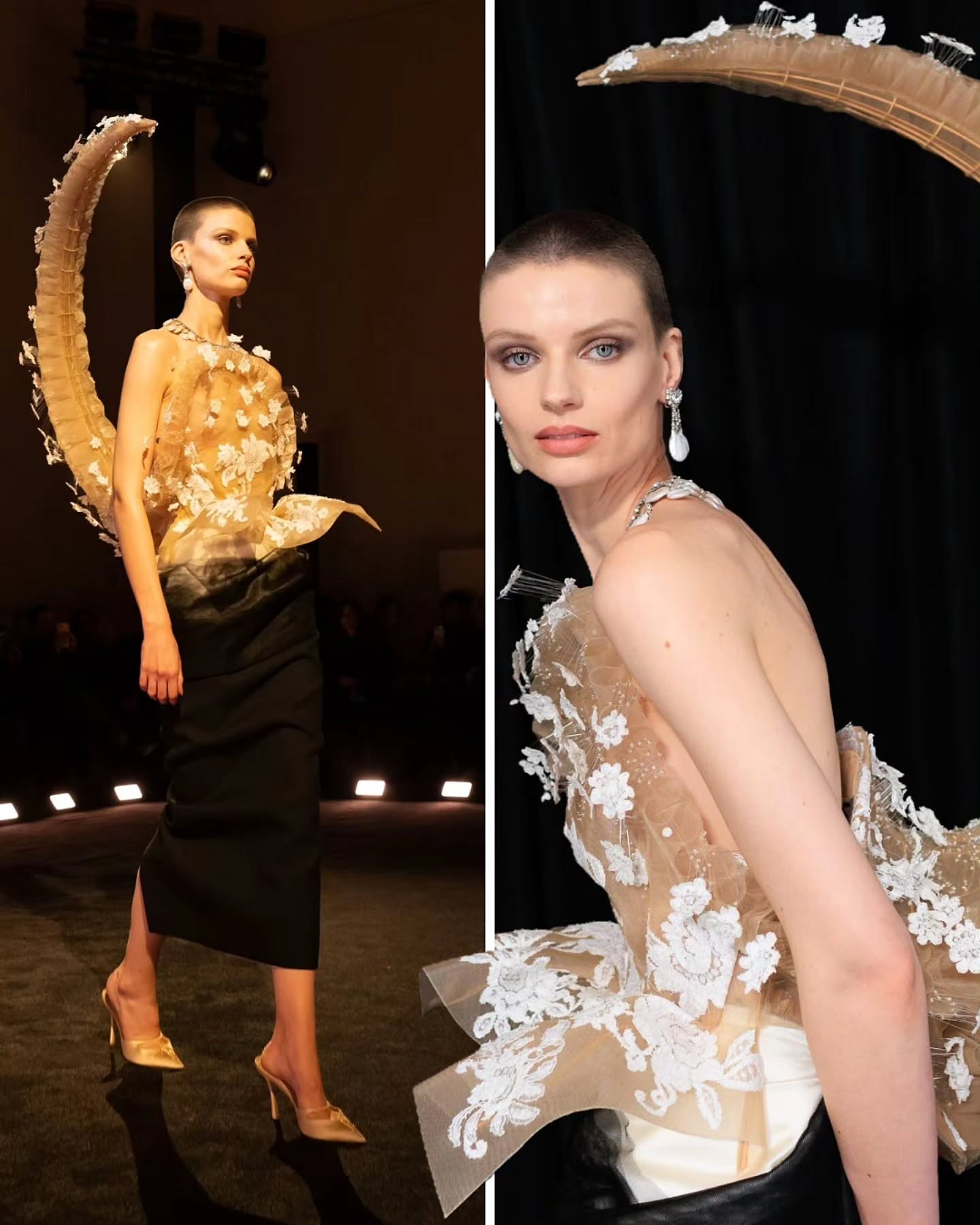 عرض سكياباريلي في أسبوع الموضة الباريسي للخياطة الراقية (إنستغرام)