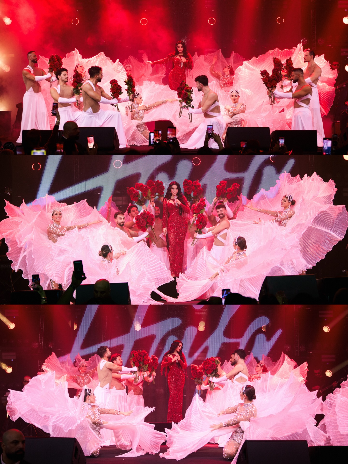 هيفاء وهبي في حفل فالنتاين (تصوير جورج صليبا)