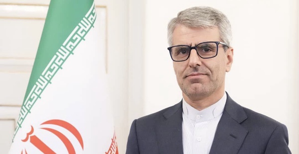 إسماعيل بقائي. (إكس)