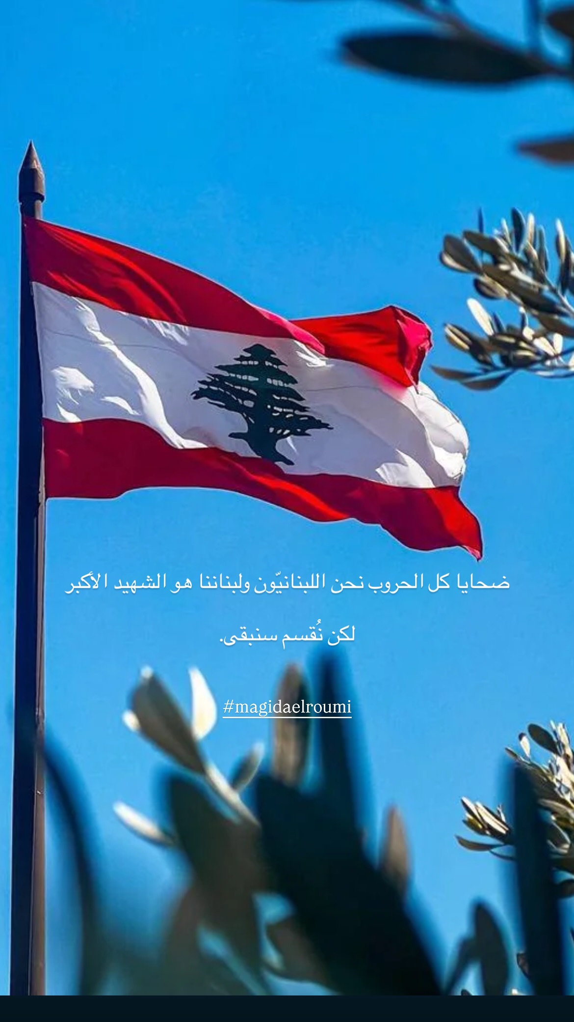 ماجدة الرومي برسالة تضامن مع بيروت (انستغرام)