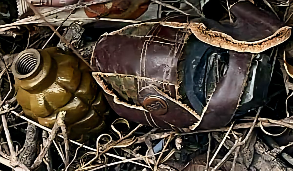 صورة للقنبلتين اليدويتين (متداول عبر مواقع التواصل).