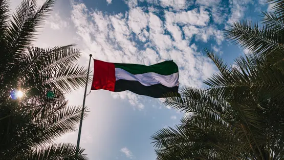 علم الإمارات (أرشيفية).