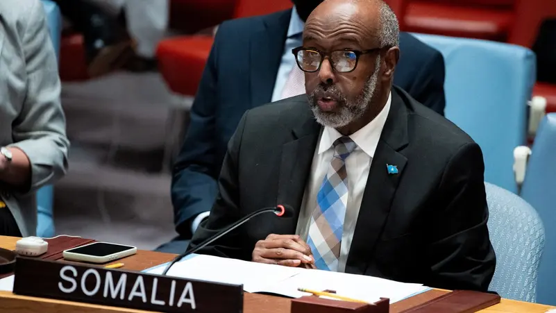 أبو بكر عثمان (مواقع).