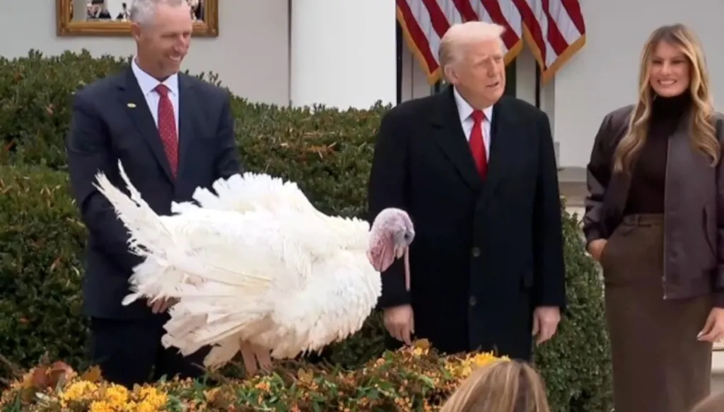 ترامب يصدر عفواً عن زوج من الديك الرومي... ويصب غضبه على جو النعسان و تشاك ونانسي