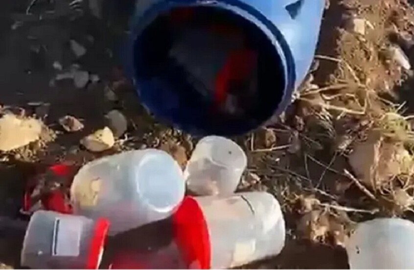 الأجنة (وسائل إعلام تركية)