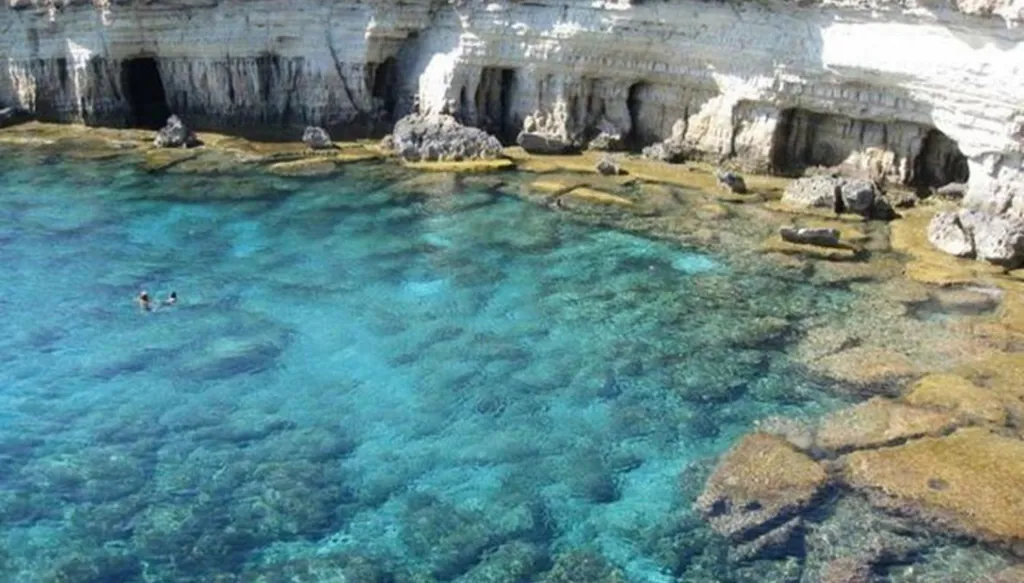 جنوبيات مشهدية