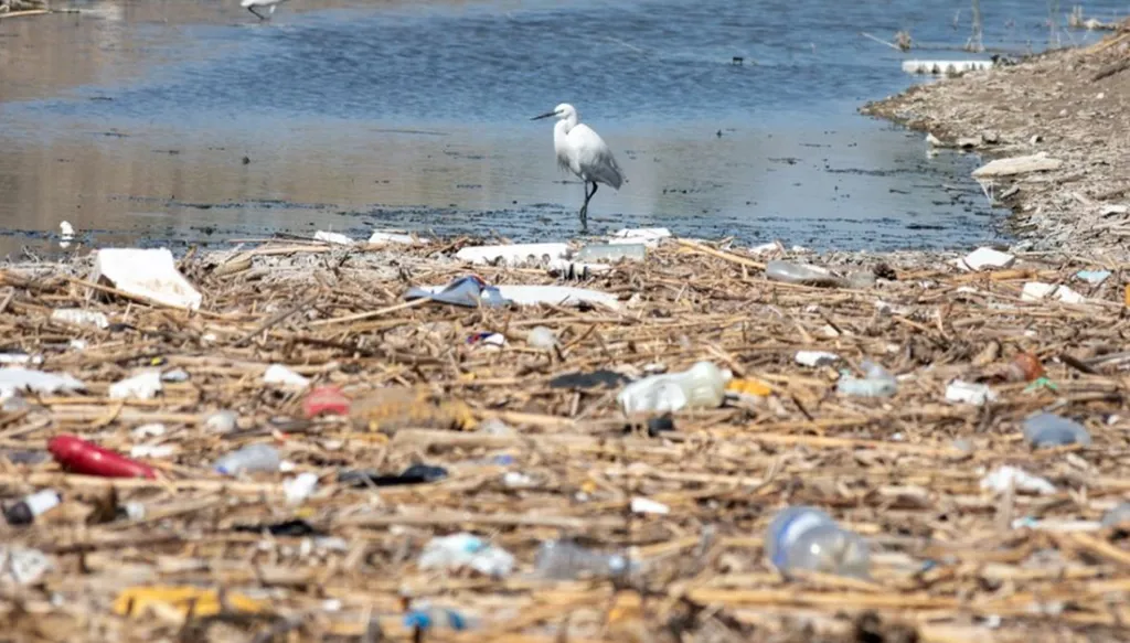 الغرفة الخضراء تحوّل التلميذ إلى "مواطن أخضر"