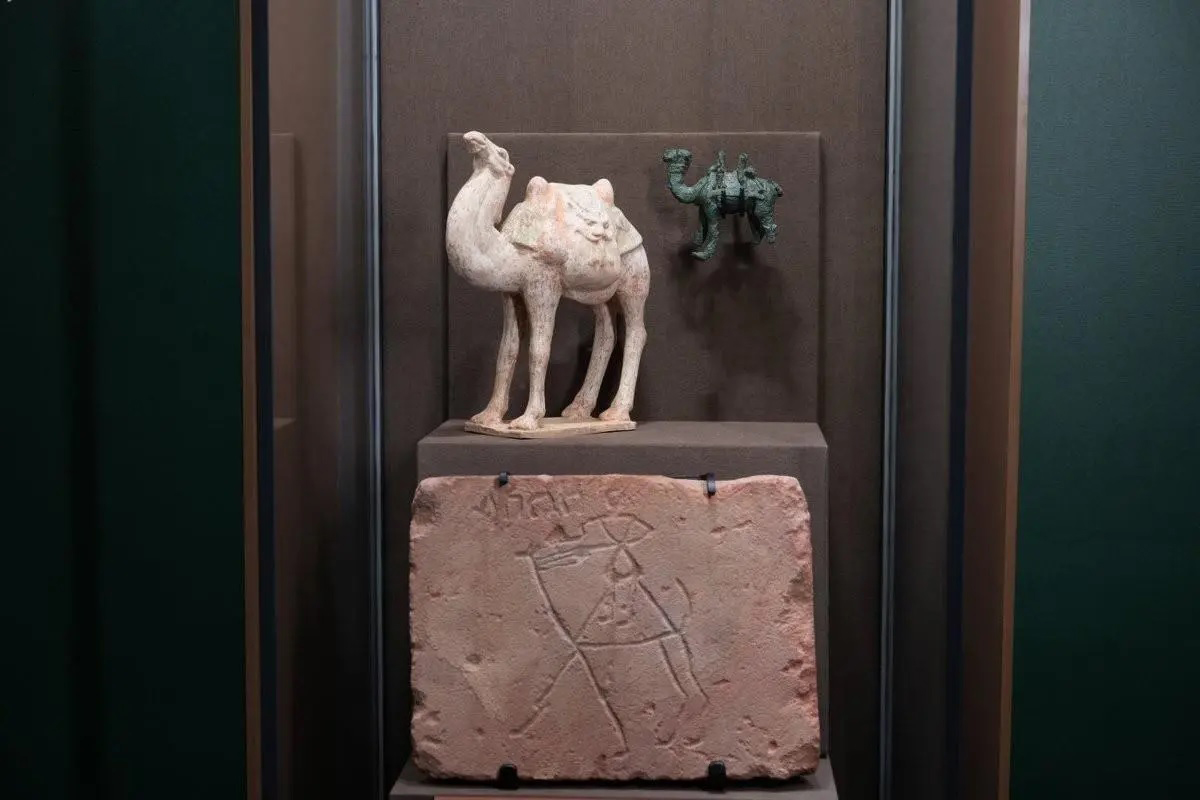 نماذج لجِمال في المعرض. (واس)