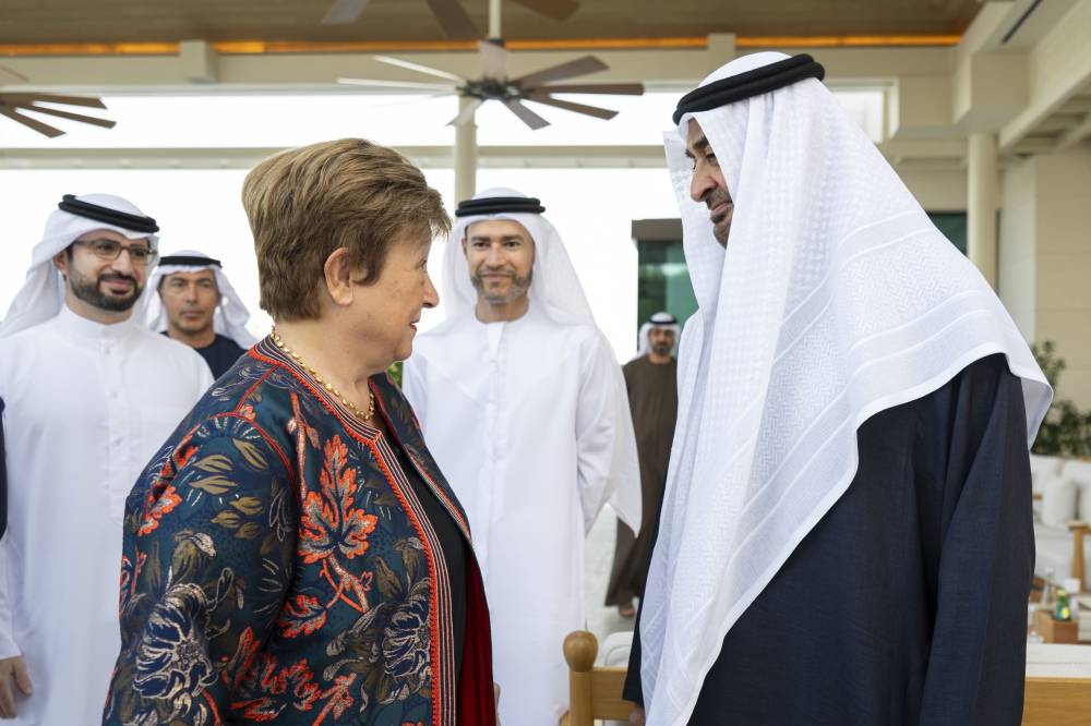 الرئيس الاماراتي مستقبلا جورجيفا في قصر الشاطئ (وام)