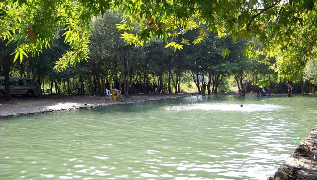 وقف تراخيص الشاليهات على الأنهر