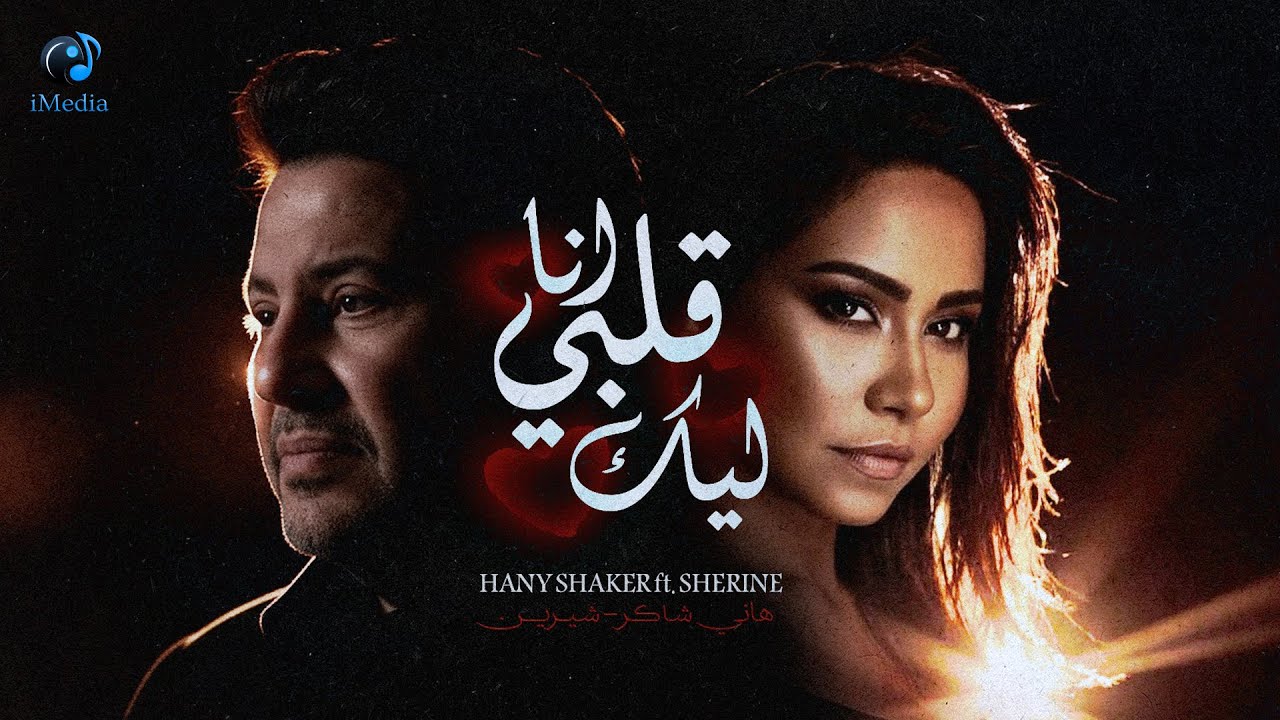 هاني شاكر وشيرين عبدالوهاب.