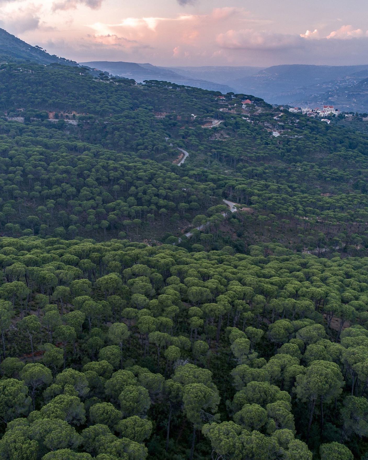 حرج بكاسين. (النهار)