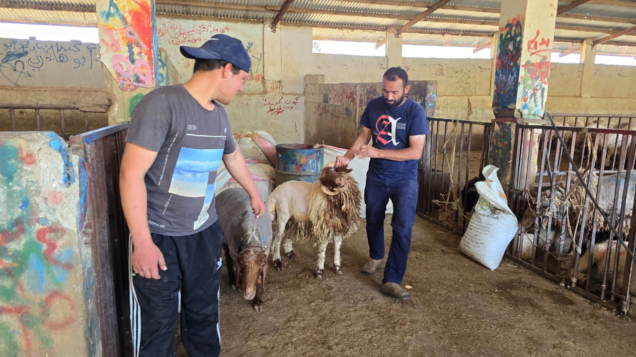 أسعار متفاوتة.