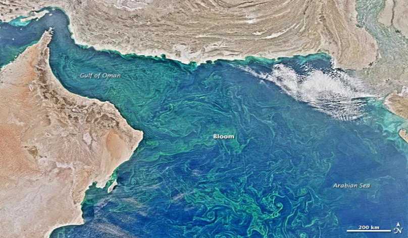 خليج عمان (أرشيفية).