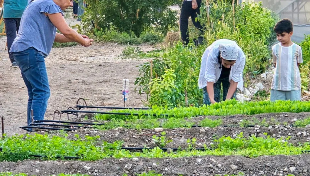 استثمار في الأراضي المهملة... مشروع تنموي فريد في صيدا ركيزته الزراعات الصديقة للبيئة