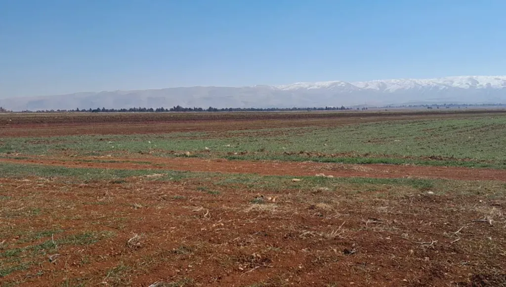 عقارات عين بورضاي... هل هي مضايقات للمستثمرين أم تصفية حسابات مالية عابرة للحدود؟