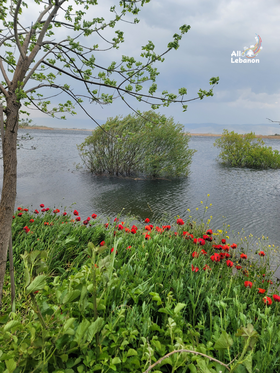 محمية عميق في لبنان (تصوير: أديبة قصاب)