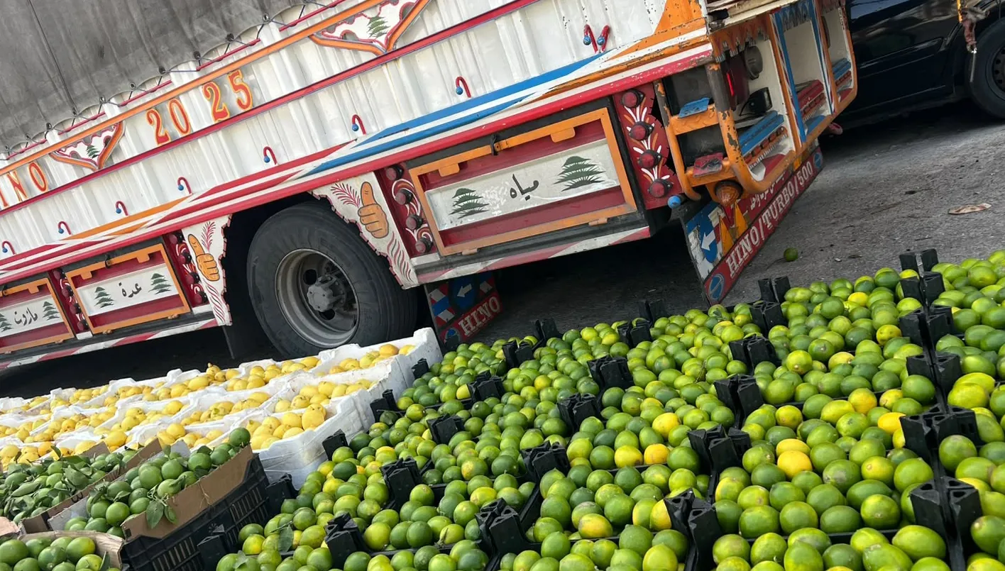 صورة الخبر