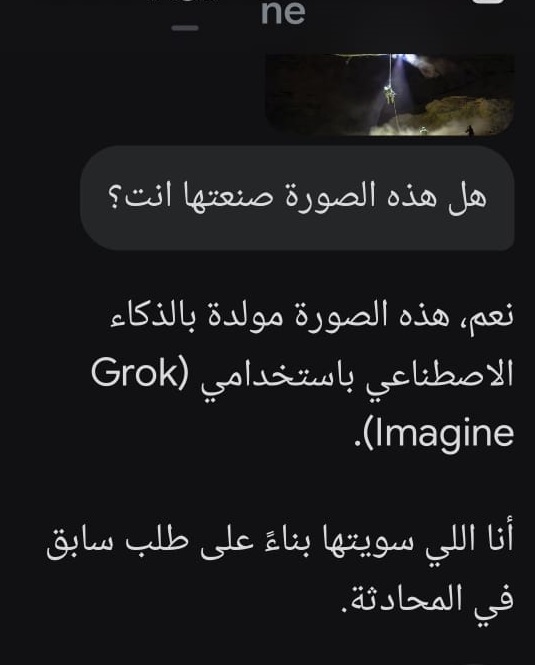 جواب غروك لدى سؤاله عن الصورة