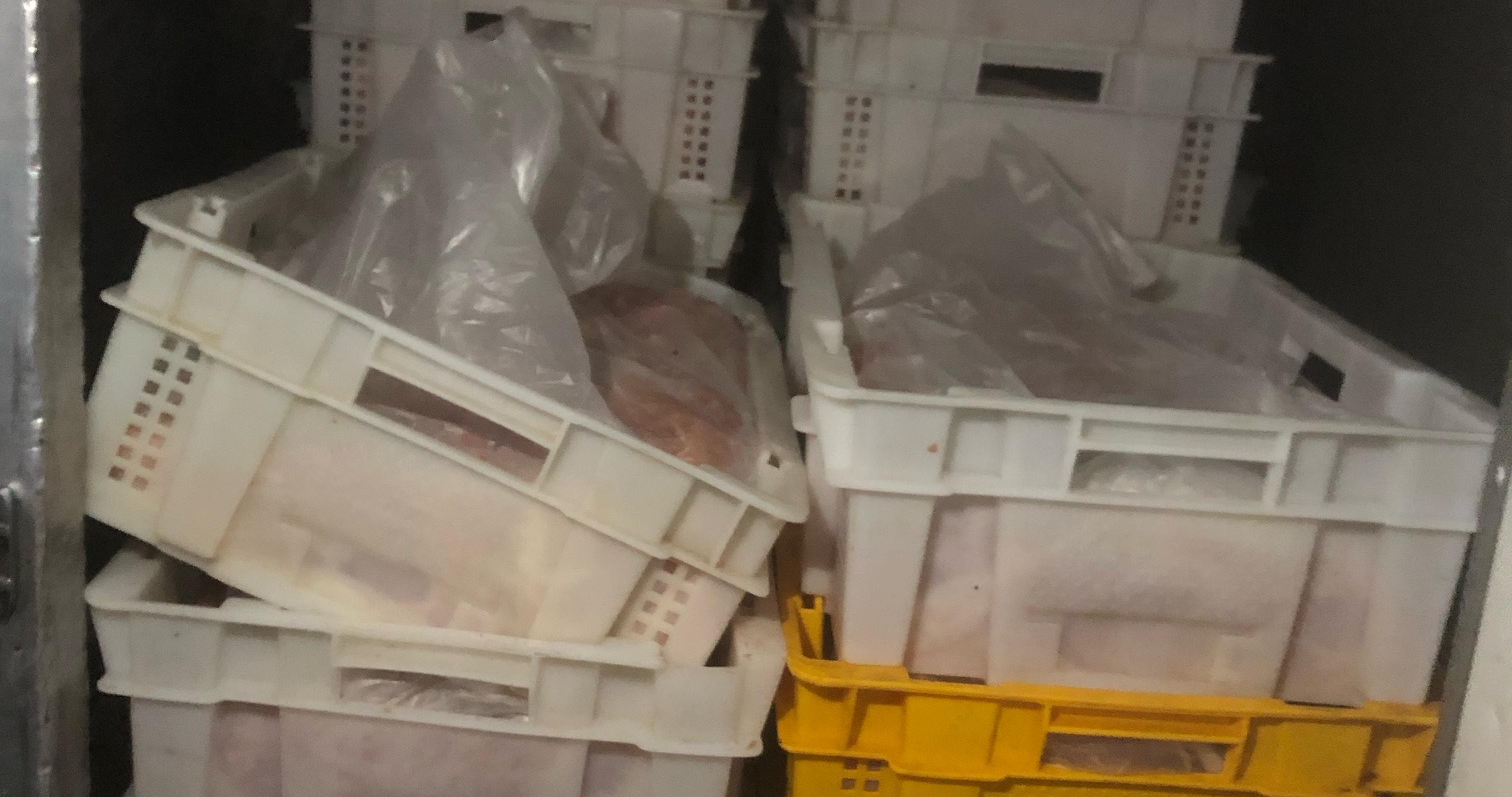 صورة للمضبوطات (الجمارك اللبنانية).