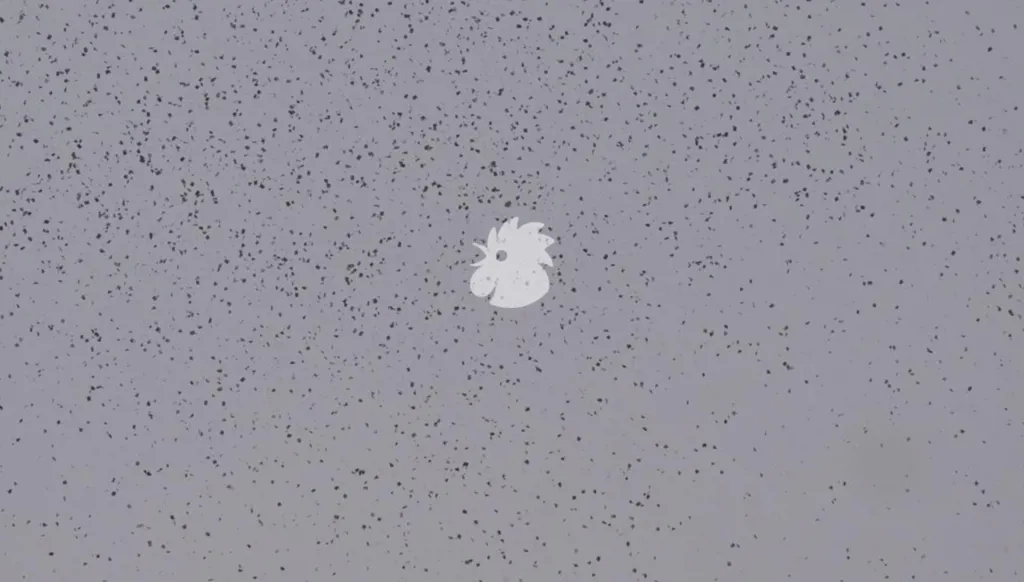 إلقاء مناشير فوق العاصمة بيروت... ماذا جاء فيها؟ (فيديو وصور)