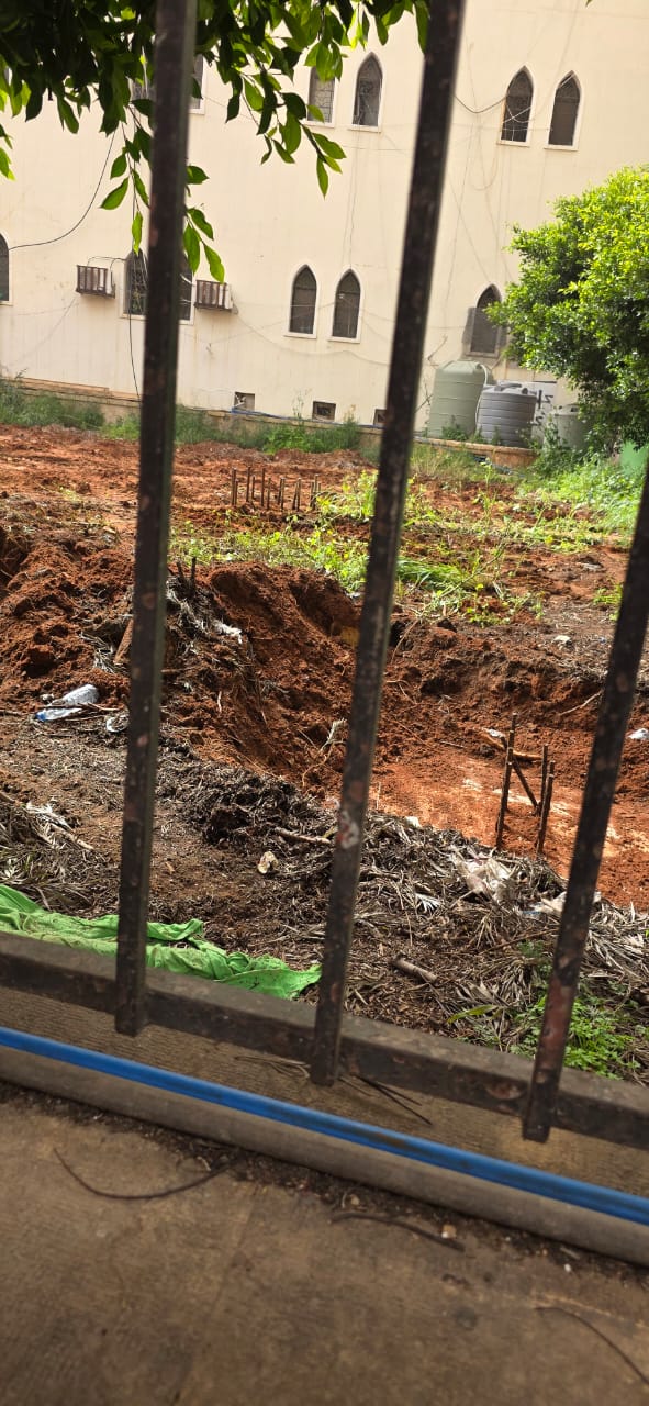 سور جامع البسطا بمحاذاة الحديقة. 