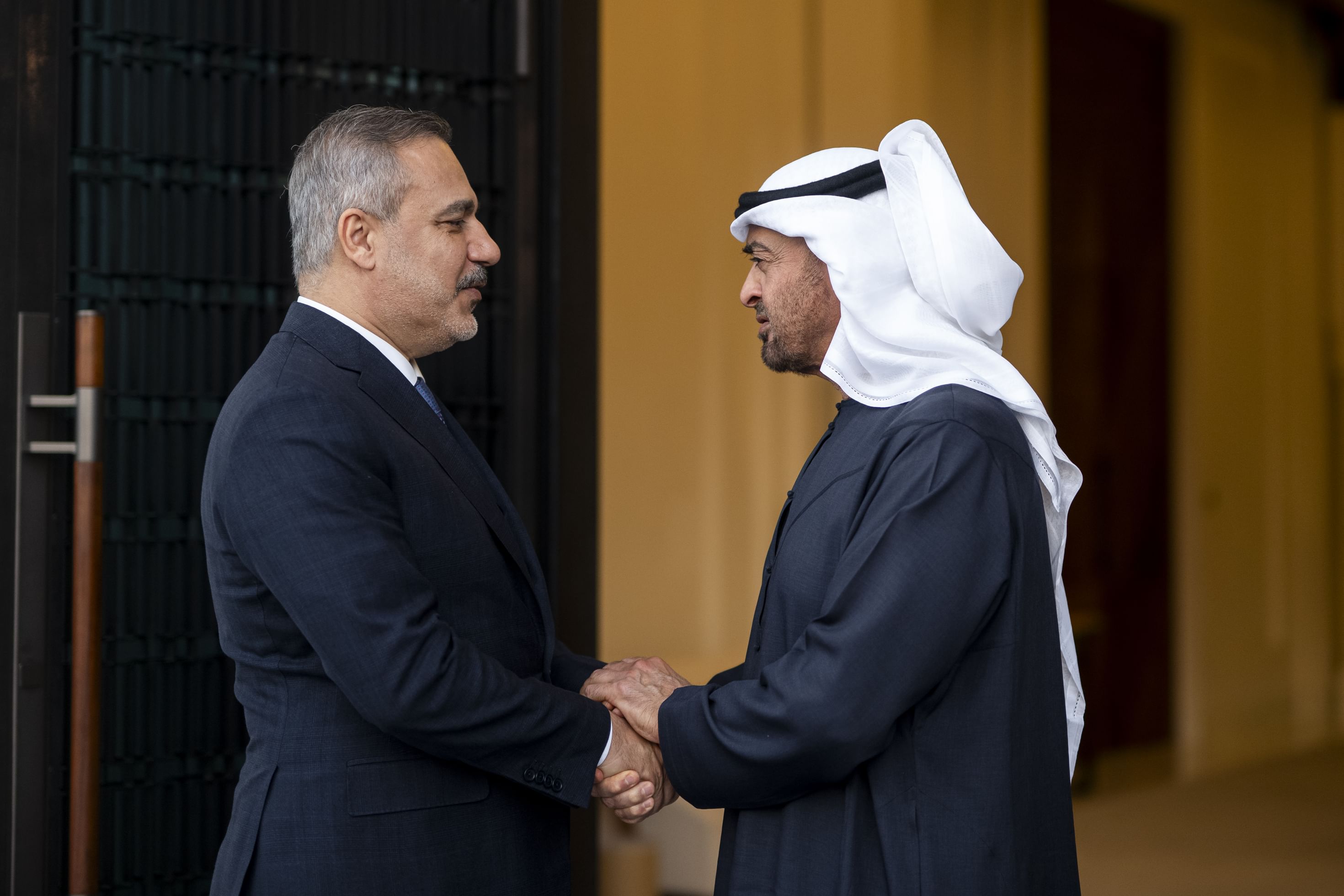 الرئيس الإماراتي ووزير الخارجية التركي (وام)