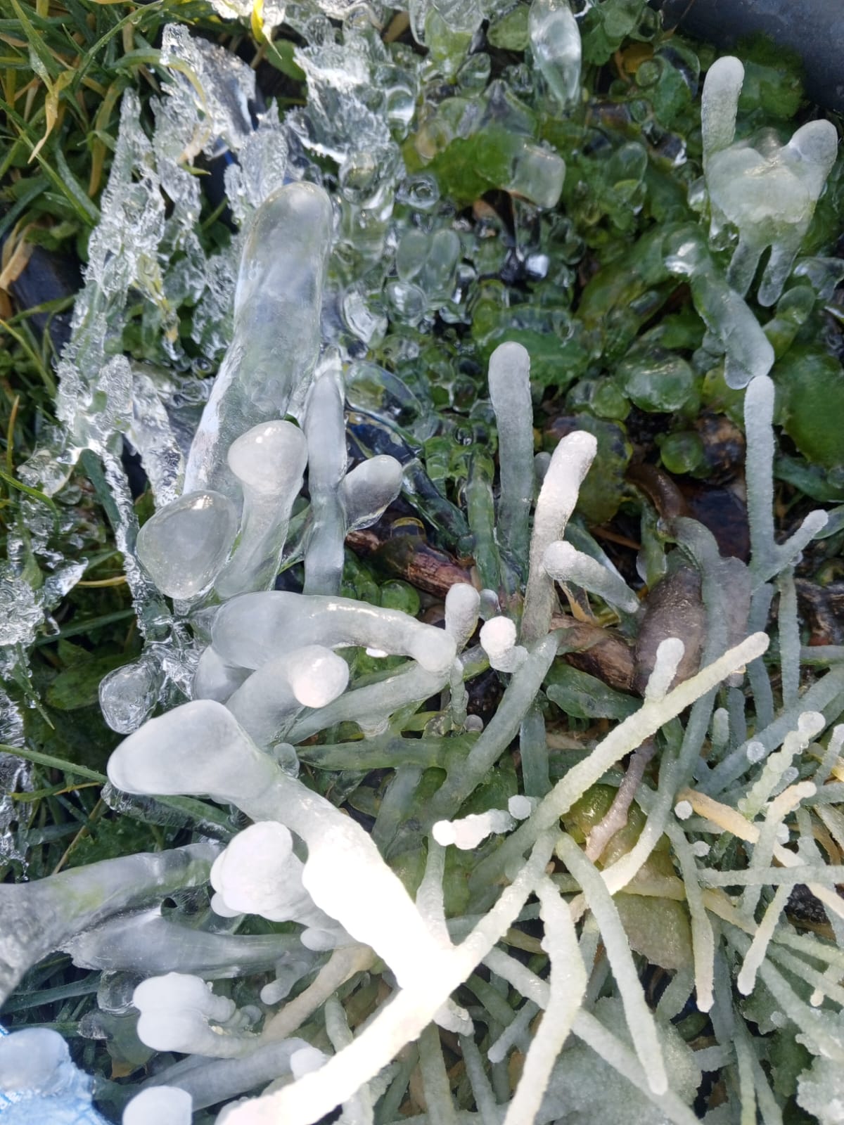 جليد شمال لبنان. (طوني فرنجية)