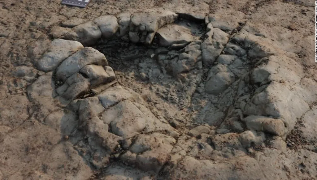 الذكاء الاصطناعي يساعد في التعرف على أنواع الديناصورات!