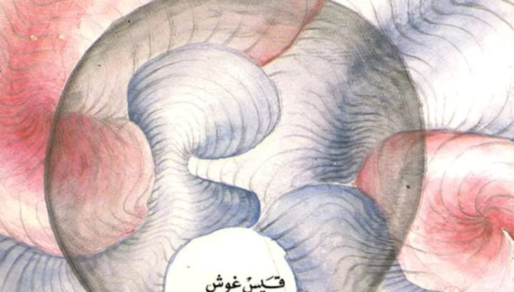 قيس غوش وكتابه «التقمّص: أهو حقيقة أم خيال؟» — رحلة في أسرار الرُّوح والوعي