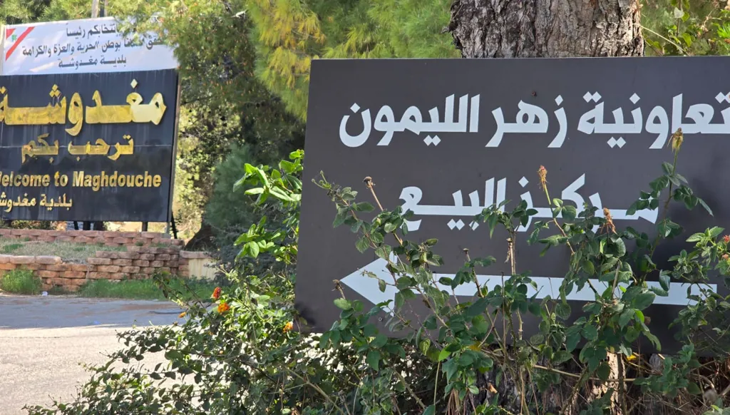 زهر البوصفير يفوح عطراً في مغدوشة جنوب لبنان... الطقس عامل سلبي والانتاج يتراجع  (فيديو)