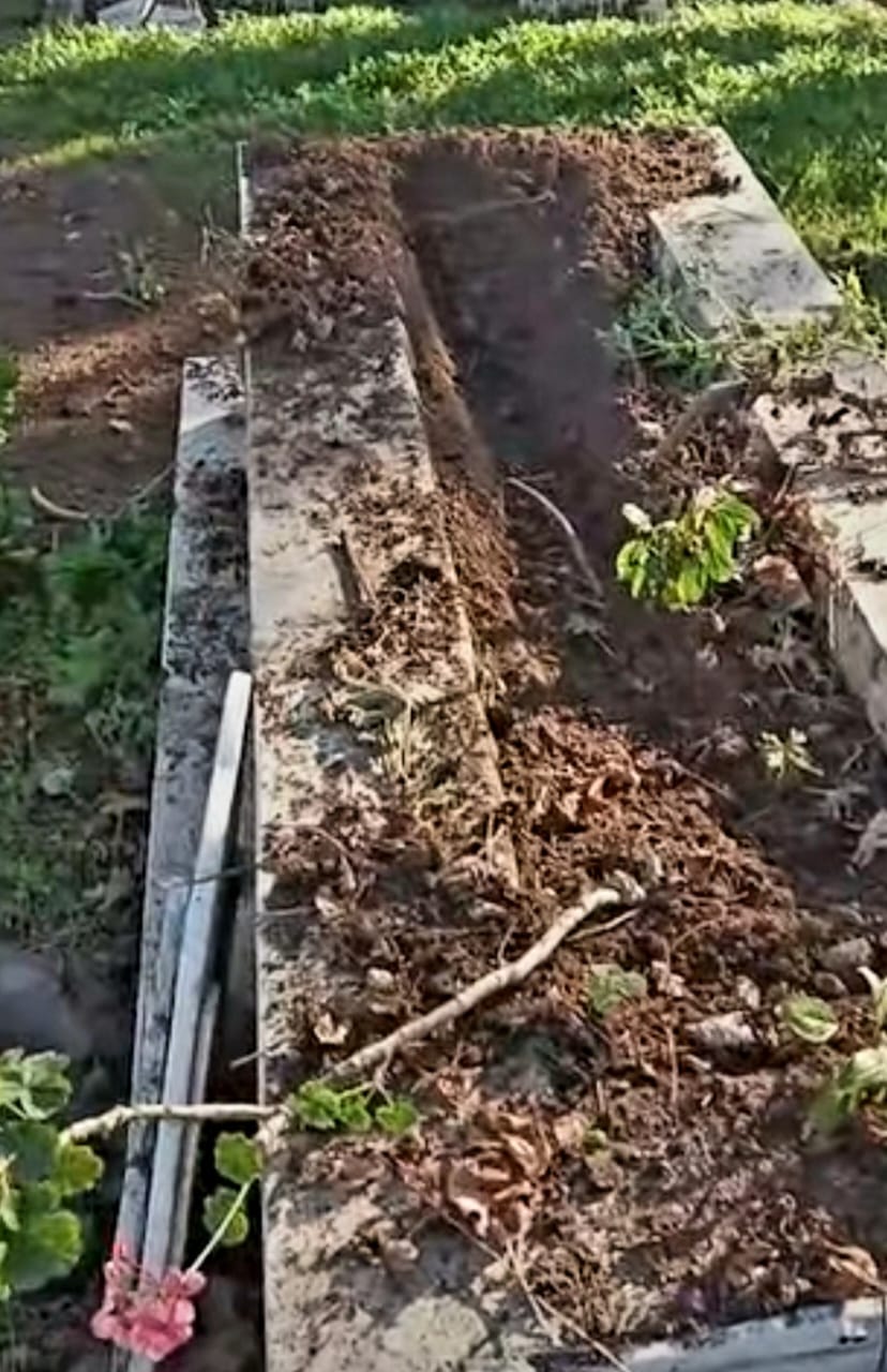 صورة للمقابر (متداول).