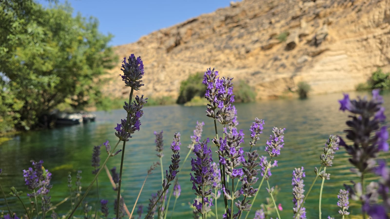 نهر العاصي (لينا اسماعيل).