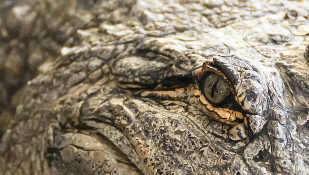 فرنسيّ يلجأ إلى "يوتيوب" لتقديم تجربة غريبة... 400 حيوان برّي يأويها في دارته!