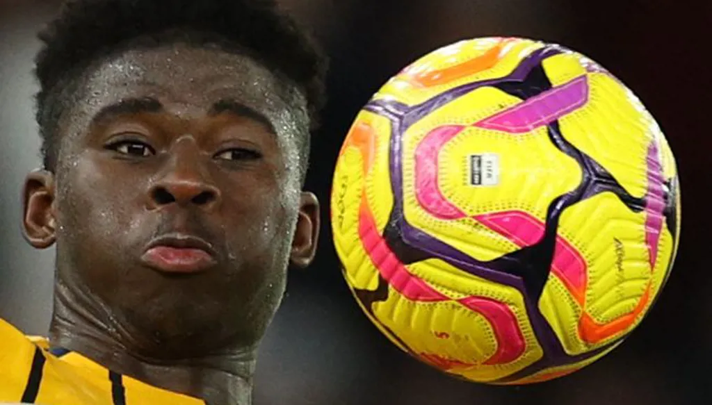 طائر النورس يقود هجمة مرتدة (فيديو)