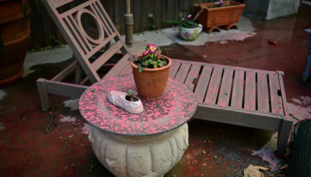 هل حرائق كاليفورنيا مفتعلة؟