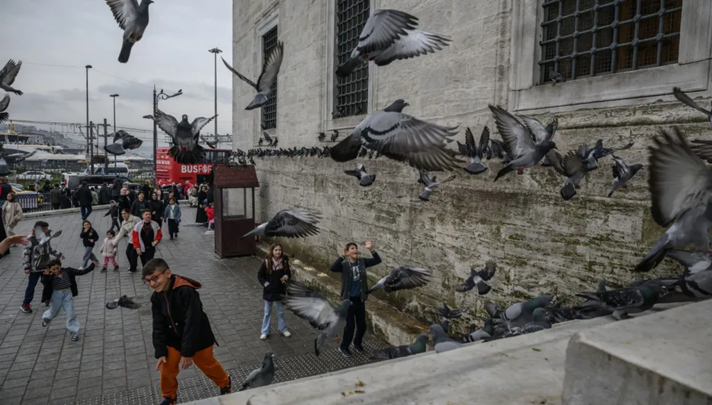 تركيا تجري محادثات فنية مع إسرائيل لخفض التوتر بسوريا