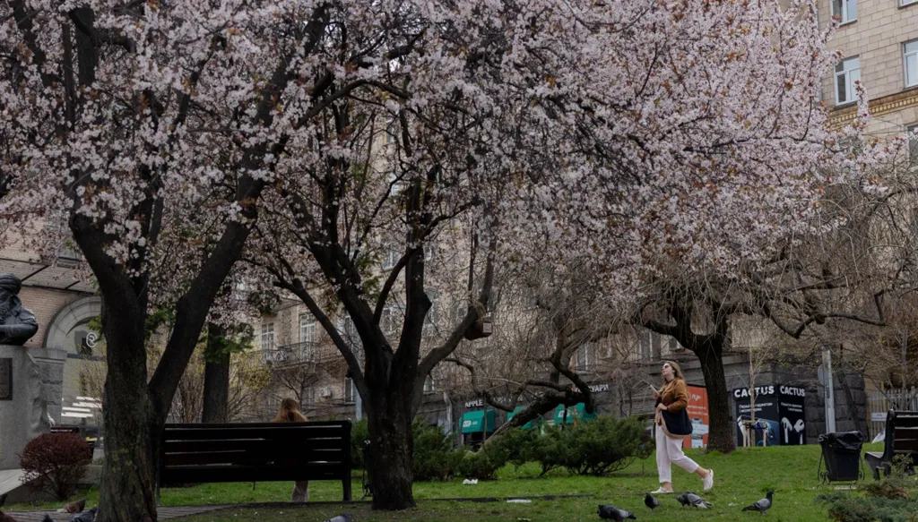 "بلومبرغ": أميركا تخفض تقديرها لقيمة مساعداتها لأوكرانيا